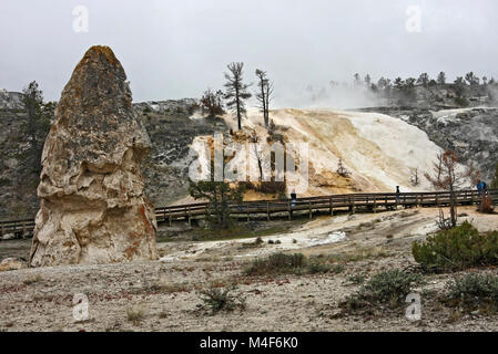 Travertin Terrassen, Mammoth Hot Springs, Yellowstone-Nationalpark Stockfoto