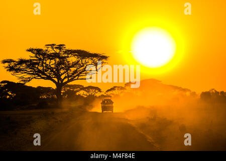 Safari-Jeep fahren durch Savanne in den Sonnenuntergang Stockfoto