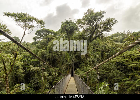 Hängebrücke im Dschungel Stockfoto