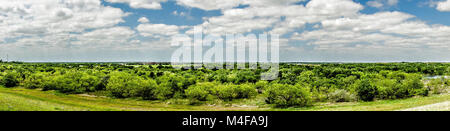 Blumen und Landschaften entlang Texas Landstraße Straßenrand im Frühjahr Stockfoto