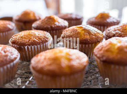 Batch an hausgemachten frisch gebackenen Kuchen oder Muffins Kühlung auf einem Regal in der Küche in der Nähe zu sehen, mit selektiven Fokus. Stockfoto
