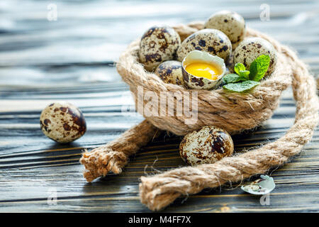 Wachtel Eier in ein Nest von Hanf. Stockfoto