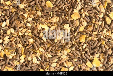 Feed Pferd Gerste, Apple, Melasse usw. Stockfoto