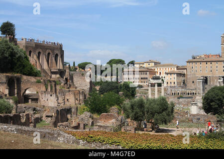 Massive Stützmauern erweitert in der kaiserlichen Gebäude Komplex, Palatin, Rom, Italien. Stockfoto