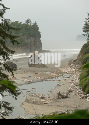 Der Staat Washington im Nordwesten USA: Ruby Beach und Abtei Insel im Olympic National Park. Stockfoto