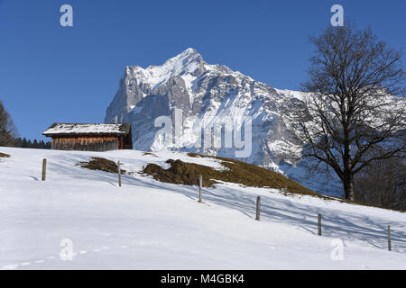 Gipfel des Wetterhorns und kleinen hölzernen Scheune an einem Wintertag, Grindelwald, Schweiz Stockfoto