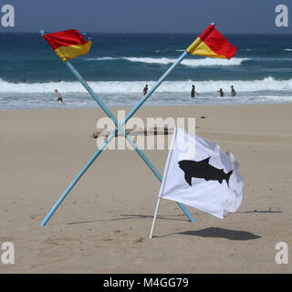 San Lameer Strand mit weißen und schwarzen Hai Markierung, die angibt, dass ein Hai auf Aufgabe Fahne beschmutzt worden ist und Rettungsschwimmer, Südküste, Kwazulu Natal, Sout Stockfoto