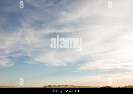 Üppigen weißen cirrus Wolken vor blauem Himmel am Mittag und ein gelbes Feld an einem heißen Sommertag Stockfoto