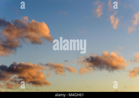 Smaragd - blauer Himmel mit creme-rosa, Cumuluswolken und einen Drachen an einem warmen Sommerabend Stockfoto