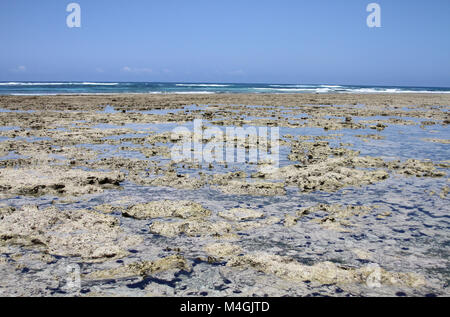 Korallen Kamm ausgesetzt bei Ebbe, Kiwengwa Strand, Sansibar, Tansania Stockfoto