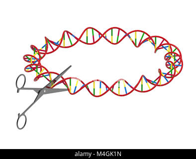 Schere schneiden DNA-Strang, Gentechnik, 3D-Rendering, isoliert auf weißem Stockfoto