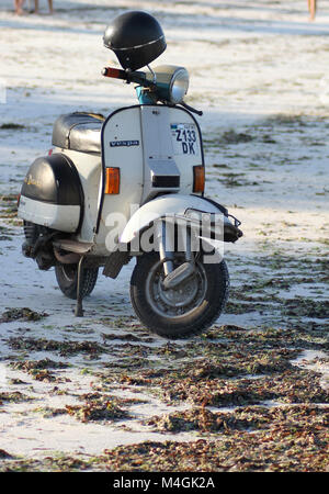 Roller am Strand, Kiwengwa Beach, Sansibar, Tansania Stockfoto