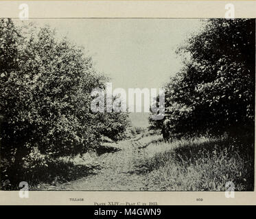 Jahresbericht des Vorstands der Kontrolle der New York landwirtschaftliche Experiment Station (1914) (14778655461) Stockfoto