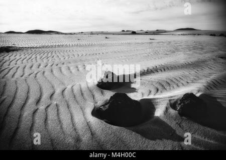 Vulkanische Gesteine, windswept unter den Sanddünen von Corralejo, auf der Insel Fuerteventura, Las Canarias Archipel. Stockfoto