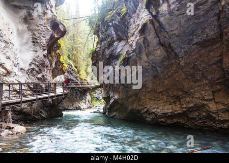 Canyon im Banff NP Stockfoto