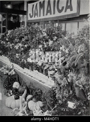 Jahresbericht des Kuratoriums der Amerikanischen Museum für Naturgeschichte für das Jahr (1921) (19361518452) Stockfoto