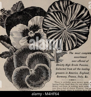 Jährliche Samen und Pflanzen Katalog, 1902 (1902) (19946561353) Stockfoto
