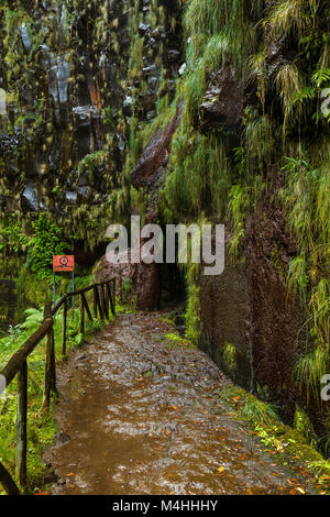 Risco levada auf Madeira Portugal Stockfoto