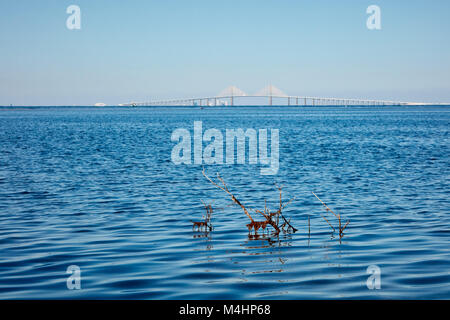 Tampa Bay, Florida Stockfoto
