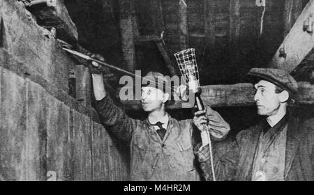 Reparaturarbeiten an der Kathedrale von Peterborough, England (Kathedrale Kirche St. Peter, St. Paul und St. Andreas - auch als Saint Peter's Cathedral bekannt in den 1940er Jahren - Behandlung von WOODWORM unter dem Dach Stockfoto