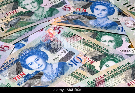 Karibische Währung Banknoten Stockfoto