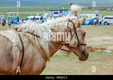 Khui Doloon Khudag, Mongolei - Juli 12, 2010: Pferd Nadaam Pferderennen auf Steppe außerhalb von Ulaanbaatar. Mongolei Nadaam ist das wichtigste Festival. Stockfoto