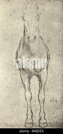 Ein Pferd von vorne gesehen, equine Anatomische Zeichnung, gezeichnet von Leonardo Da Vinci, 1452-1519 Stockfoto