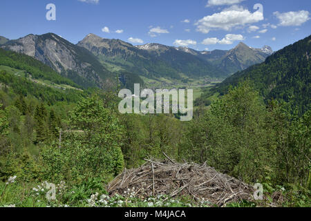 Bregenzer Wald; Alpen; Österreich; Europa; Stockfoto