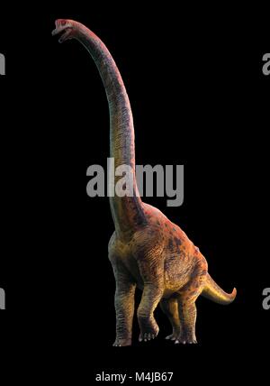 Abbildung: giraffatitan Dinosaurier. Giraffatitan vorher gedacht wurde, um eine Art der Brachiosaurus brancai zu (B.) ist jetzt aber gedacht, um eine eigene Gattung zu gehören. Diese Tiere wurden sauropods, vierbeinige, Pflanzen fressenden Dinosaurier aus der Kreidezeit. Sie erreicht eine Länge von etwa 26 Metern und bis zu 40 Tonnen wog. Die Skelette von Brachiosaurus und Giraffatitan, obwohl aus verschiedenen Kontinenten (Amerika und Afrika) fast für das ungeschulte Auge sehen identisch aus, also dieses Bild darstellen könnte entweder Tier. Stockfoto