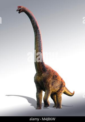 Abbildung: giraffatitan Dinosaurier. Giraffatitan vorher gedacht wurde, um eine Art der Brachiosaurus brancai zu (B.) ist jetzt aber gedacht, um eine eigene Gattung zu gehören. Diese Tiere wurden sauropods, vierbeinige, Pflanzen fressenden Dinosaurier aus der Kreidezeit. Sie erreicht eine Länge von etwa 26 Metern und bis zu 40 Tonnen wog. Die Skelette von Brachiosaurus und Giraffatitan, obwohl aus verschiedenen Kontinenten (Amerika und Afrika) fast für das ungeschulte Auge sehen identisch aus, also dieses Bild darstellen könnte entweder Tier. Stockfoto