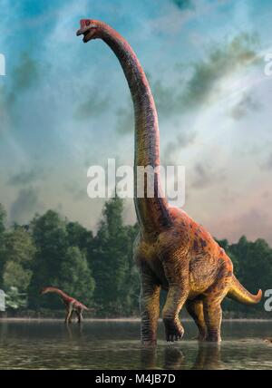 Abbildung: giraffatitan Dinosaurier Mutter und Kind. Giraffatitan vorher gedacht wurde, um eine Art der Brachiosaurus brancai zu (B.) ist jetzt aber gedacht, um eine eigene Gattung zu gehören. Diese Tiere wurden sauropods, vierbeinige, Pflanzen fressenden Dinosaurier aus der Kreidezeit. Sie erreicht eine Länge von etwa 26 Metern und bis zu 40 Tonnen wog. Die Skelette von Brachiosaurus und Giraffatitan, obwohl aus verschiedenen Kontinenten (Amerika und Afrika) fast für das ungeschulte Auge sehen identisch aus, also dieses Bild darstellen könnte entweder Tier. Stockfoto