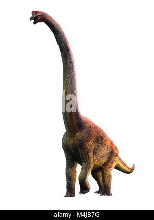 Abbildung: giraffatitan Dinosaurier. Giraffatitan vorher gedacht wurde, um eine Art der Brachiosaurus brancai zu (B.) ist jetzt aber gedacht, um eine eigene Gattung zu gehören. Diese Tiere wurden sauropods, vierbeinige, Pflanzen fressenden Dinosaurier aus der Kreidezeit. Sie erreicht eine Länge von etwa 26 Metern und bis zu 40 Tonnen wog. Die Skelette von Brachiosaurus und Giraffatitan, obwohl aus verschiedenen Kontinenten (Amerika und Afrika) fast für das ungeschulte Auge sehen identisch aus, also dieses Bild darstellen könnte entweder Tier. Stockfoto