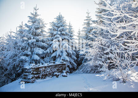 Ski glade im verschneiten Wald Stockfoto