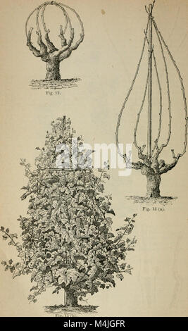 Anhang zu den Zeitschriften des Senats und Montage der Tagung der Gesetzgebung des Staates Kalifornien (1885) (14760026246) Stockfoto