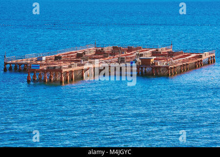 Muschelfarm in das Meer Stockfoto