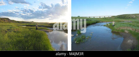 Aquatische Erhebungen und Beurteilung der Slim Buttes Region Harding und Butte CO, SD (2006) (20931400680) Stockfoto