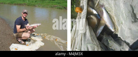 Aquatische Erhebungen und Beurteilung der Slim Buttes Region Harding und Butte CO, SD (2006) (21093301766) Stockfoto