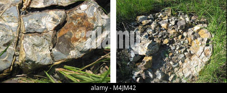 Aquatische Untersuchungen und Bewertung der Region Slim Buttes, die 2006 durchgeführt wurden, konzentrieren sich auf die Umweltgesundheit aquatischer Ökosysteme in Harding und Butte County, South Dakota. Die Studie bewertet die Wasserqualität, die Biodiversität und die ökologischen Bedingungen in lokalen Gewässern. Stockfoto