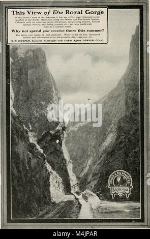 Diese Arbeit konzentriert sich auf die Baumzucht, die Wissenschaft und Praxis der Baumpflege, -Bewirtschaftung und -Kultivierung und bietet Orientierungshilfen zu Baumpflanzungen, -Pflege und ökologischen Vorteilen. Stockfoto