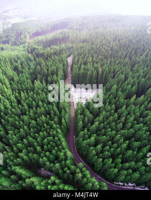 Leere Straße in einem Wald von einer Drohne Stockfoto