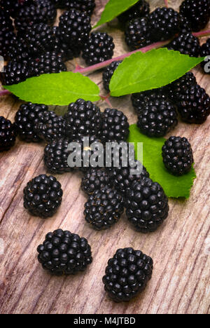 Viele Brombeeren ruht auf dem Holztisch Stockfoto