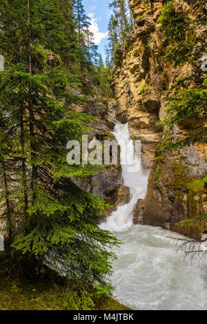 Lower Falls in der Johnston Canyon, Banff National Park, Kanada Stockfoto