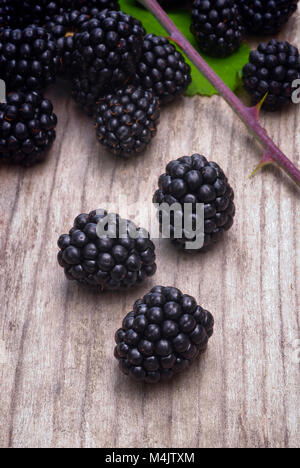 Viele Brombeeren ruht auf dem Holztisch Stockfoto