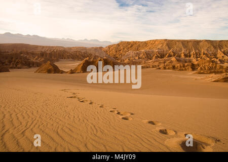 Fußabdrücke im Valle de La Muerte (Death Valley), Los Flamencos National Reserve, San Pedro de Atacama, Atacama-wüste, Antofagasta Region, Stockfoto