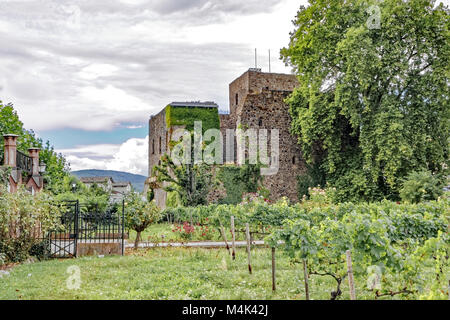 Rüdesheim - Brömserburg Stockfoto