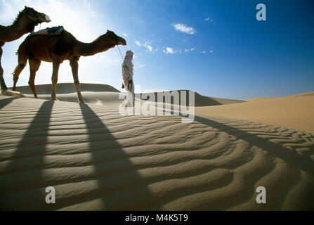 Algerien. In der Nähe von Timimoun. Western Sand Meer. Grand Erg Occidental. Sahara. Beduinen wandern mit Kamelen. Stockfoto