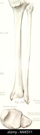 Das „Atlas and Text-Book of Human Anatomy“ (1914) ist ein detailliertes anatomisches Referenzbuch, das Strukturen, Systeme und Funktionen des menschlichen Körpers abdeckt und sowohl visuelle Illustrationen als auch umfassende Erklärungen anatomischer Merkmale bietet. Stockfoto