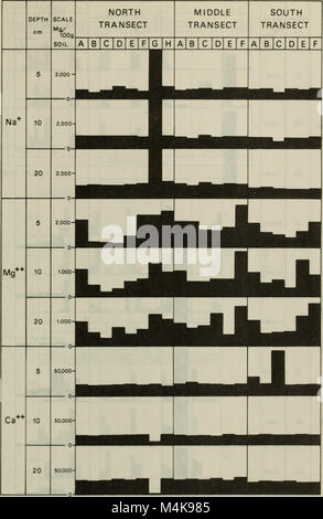 Das *Atoll Research Bulletin* (1979) veröffentlicht wissenschaftliche Erkenntnisse über Korallenriffökosysteme, insbesondere über Biologie, Ökologie und Erhaltung von Atollen und ihrer umliegenden Meeresumwelt. Stockfoto
