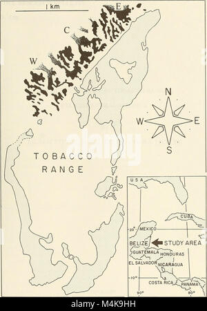 Das „Atoll Research Bulletin“ ist eine wissenschaftliche Zeitschrift, die sich mit der Erforschung von Atollen und Korallenriffen befasst. Es veröffentlicht Forschungsarbeiten zu Themen wie Korallenriffökologie, biologische Vielfalt der Meere und den Herausforderungen, vor denen diese Ökosysteme stehen, und dient als wichtige Ressource für Meeresbiologen und Umweltwissenschaftler. Stockfoto