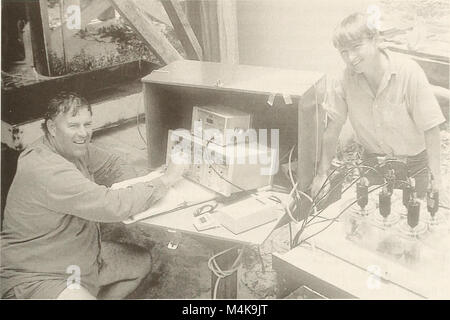 Atoll Forschung Bulletin (2001) (20337261032) Stockfoto